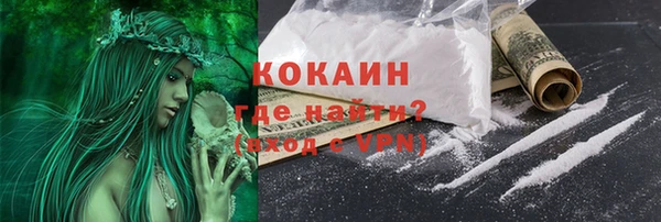прущие грибы Остров
