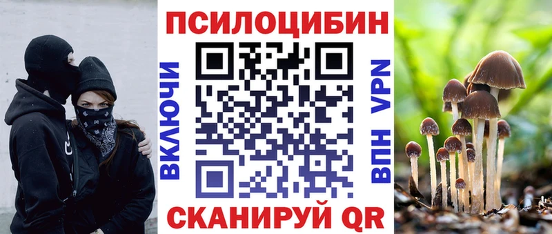 Псилоцибиновые грибы Psilocybine cubensis  хочу наркоту  Щучье 