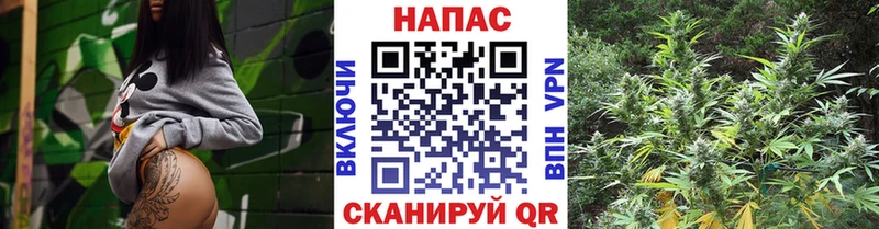 Конопля гибрид  закладки  Щучье 